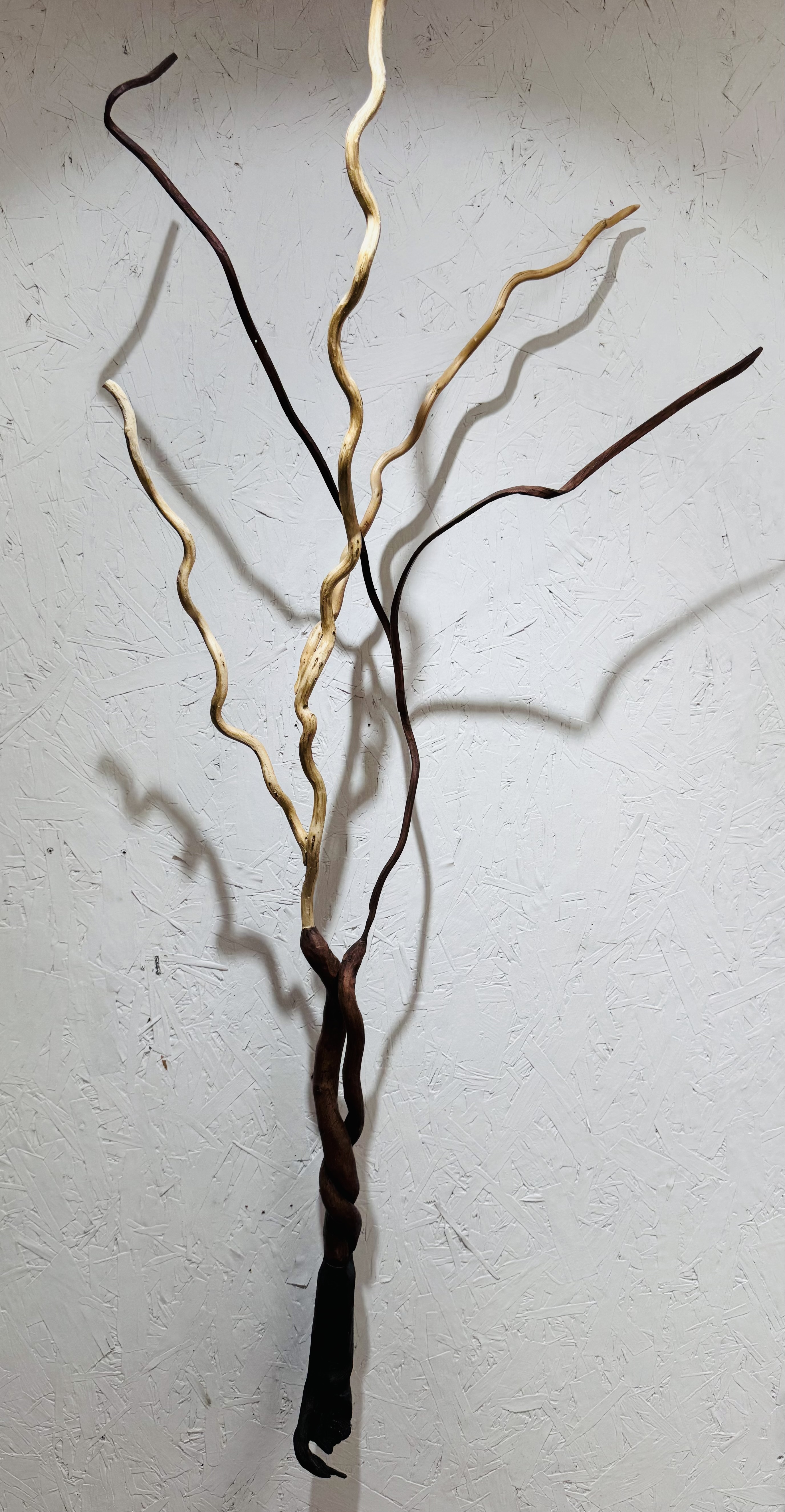 Rick Maxwell bent wood sculpture 2023-2026-2784
