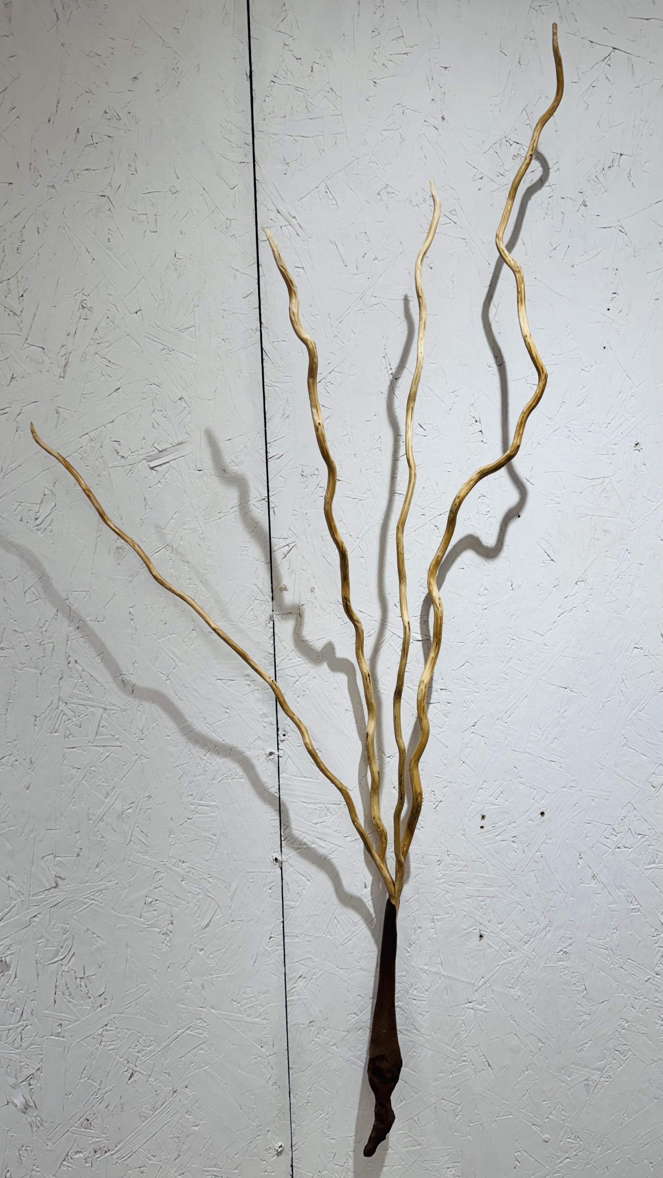 Rick Maxwell bent wood sculpture 2023-2026-2786