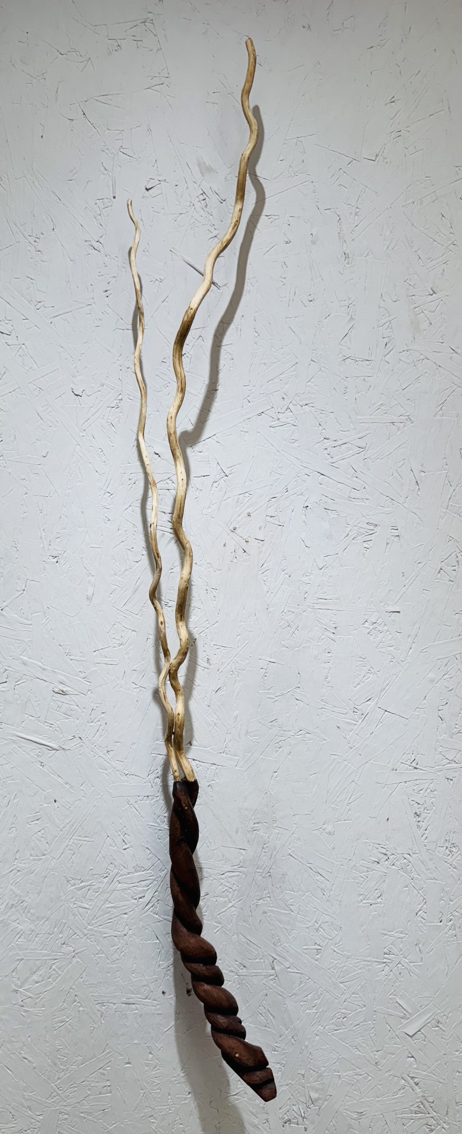 Rick Maxwell bent wood sculpture 2023-2026-2788